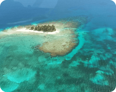 reviews de nuestros clientes