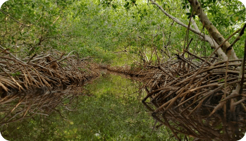 reviews de nuestros clientes