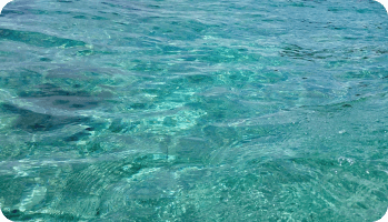 reviews de nuestros clientes