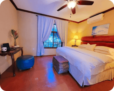 reviews de nuestros clientes